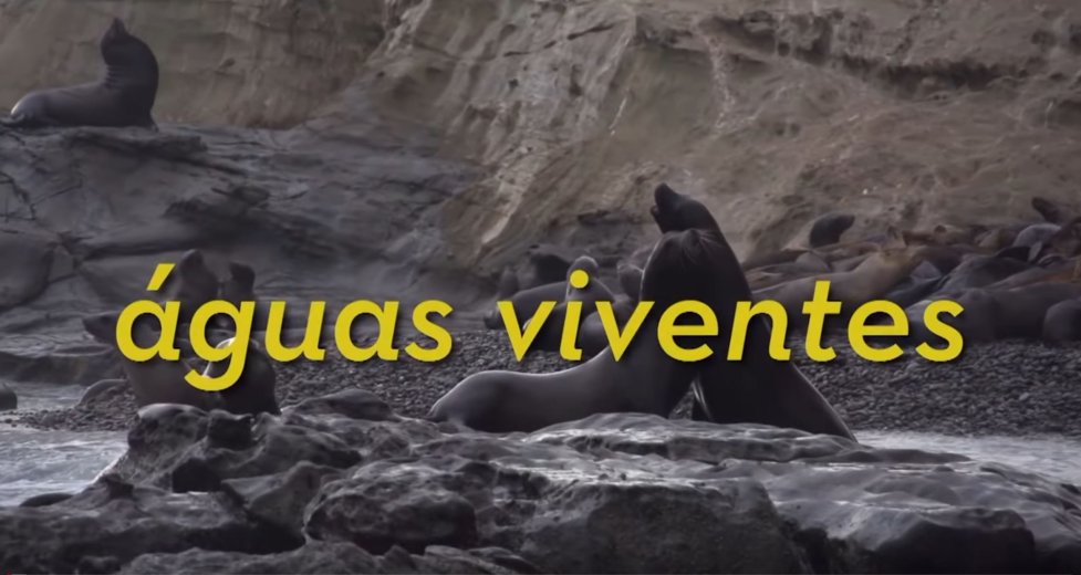 Aguas Viventes - Documentario