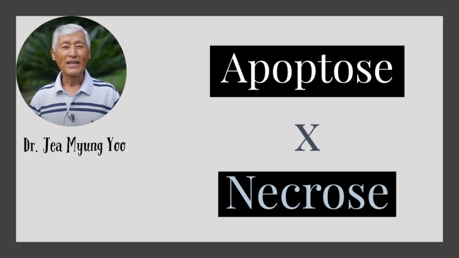Apoptose x Necrose - Dr. Jea Myung Yoo