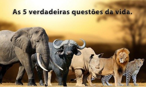 As Cincos Grandes - Pr. Walter Veith