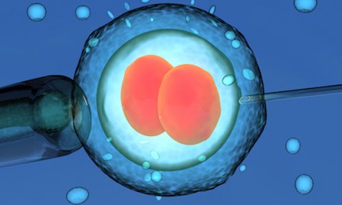 Edição Genética em Embriões Humanos - Dr. Jea Myung Yoo