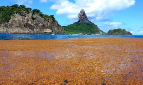 Mar dos Sargaços - Pr. Doug Batchelor