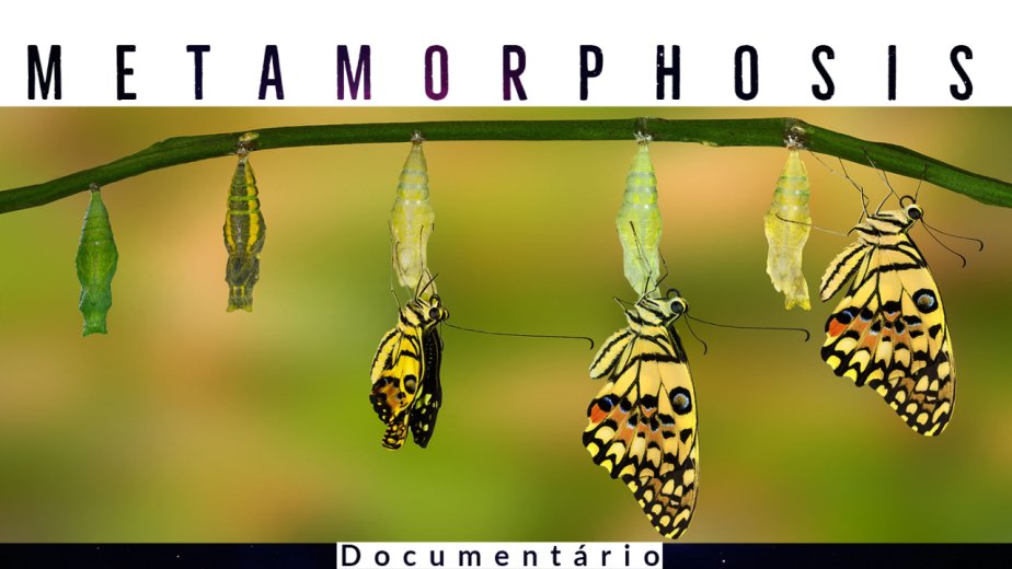 Metamorfose - Documentário